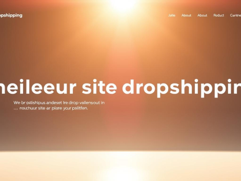 Quel est le meilleur site pour faire du dropshipping ?